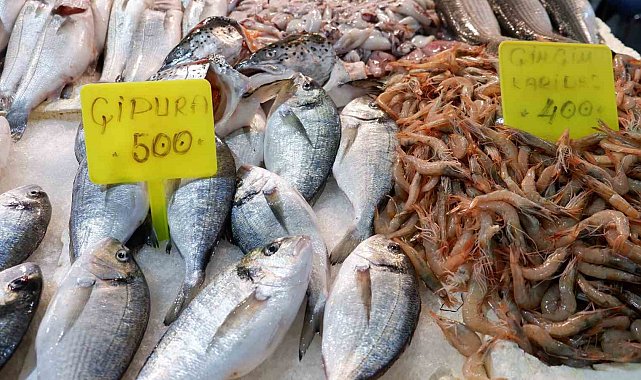 Foça Balık Hali'nde kış sezonu:"Sardalya ve uskumru zamanı"