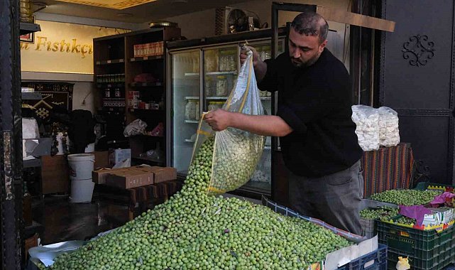 Gaziantep'te yeşil zeytin fiyatları sabit kaldı