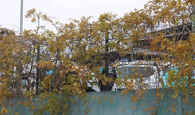 Geri dönüşüm tesisindeki koku ekipleri harekete geçirdi