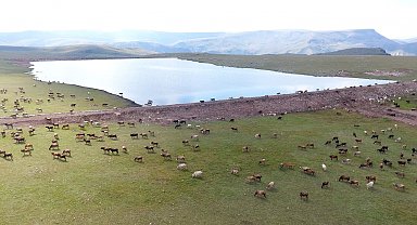 Gölet yapımında Türkiye'ye örnek olan şehir: Erzurum
