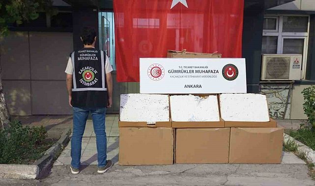 Gümrükler muhafaza ekipleri, değeri 274 milyon TL'yi aşan makaron ve makaron üretim malzemesi ele geçirdi