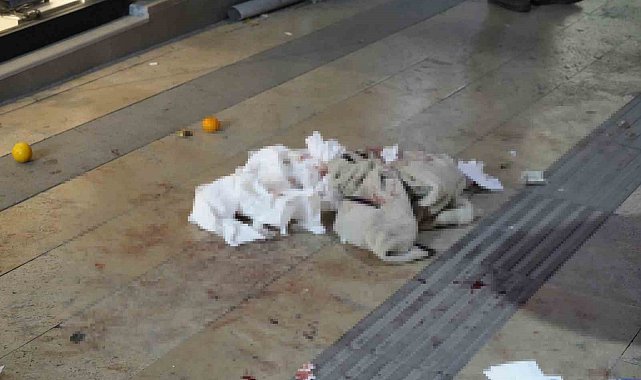 Gümüşhane'de boşanma aşamasındaki eşi tarafından bıçaklanan kadın yaralandı