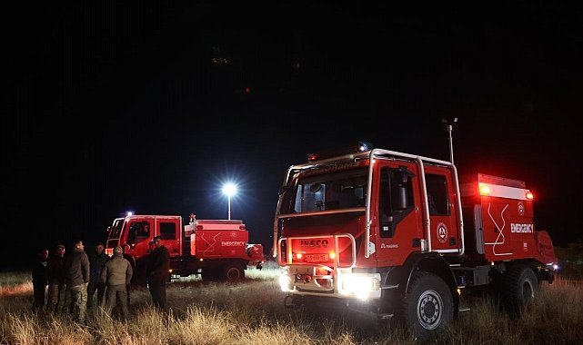 Gürcistan İçişleri Bakanı Geladze, Türkiye'ye ait asker kargo uçağının düştüğü bölgede