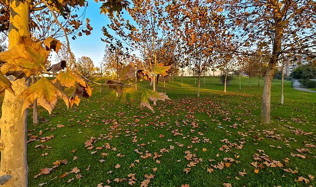 Güzelyurt sonbahar renklerine büründü