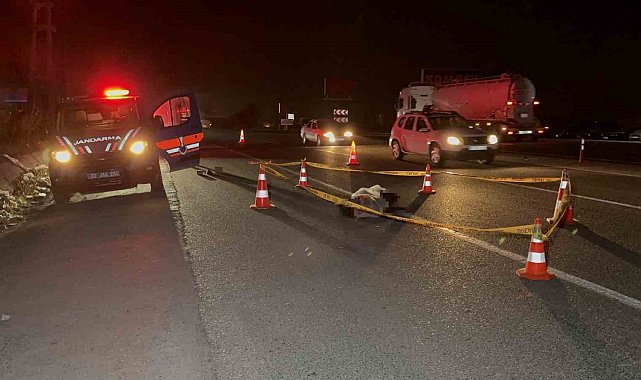 Hafif ticari aracın çarptığı yaşlı adam hayatını kaybetti