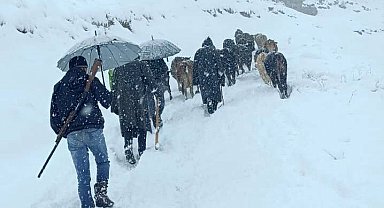 Hakkari'de dağda mahsur kalan sürü kurtarıldı