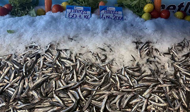 Hamsi fiyatı yüzleri güldürdü, kilosu 60 liraya düştü