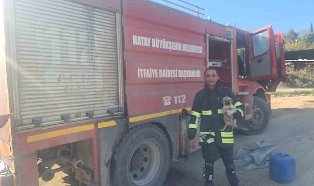 Hatay'da 6 metrelik çukurda mahsur kalan yavru köpeği itfaiye kurtardı