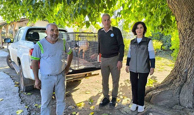 Hatay'da yaralı leylek tedavi altına alındı