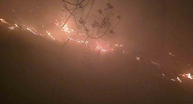 Hatay'da yıldırımın düştüğü ormanlık alanda yangın çıktı