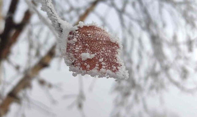 Hava sıcaklığının eksi 14,6 dereceye düştüğü Göle buz tuttu