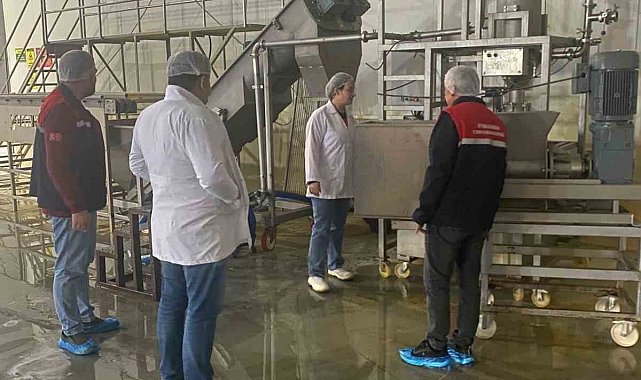 Hayvansal yem üreten işletmeye yönelik denetim