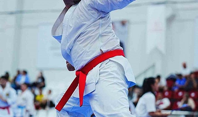 Hedef olimpiyatlarda altın madalya