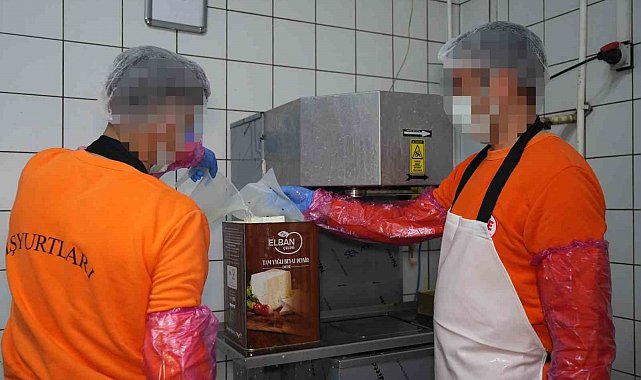 Hükümlüler hem meslek ediniyor hem üreterek ekonomiye katkı sağlıyor: Ayda 300 ton süt işleniyor