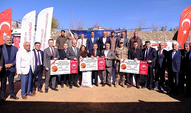 İdil'de 107 ton kırmızı mercimek tohumu dağıtıldı