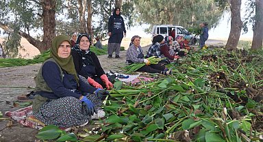 İstilacı su sümbülleri depremzede kadınların ellerinde sanat eserine dönüşüyor