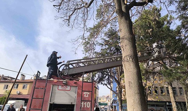 İtfaiyeden su fışkırtma tekniğiyle kedi kurtarma operasyonu