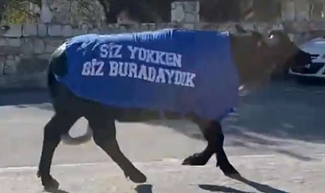İzmir'de mandalı protesto: Okul sahibinden dikkat çeken tepki