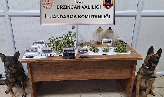 Jandarma Kasım ayı bilançosu: 124 olayın yüzde 93'ü aydınlatıldı