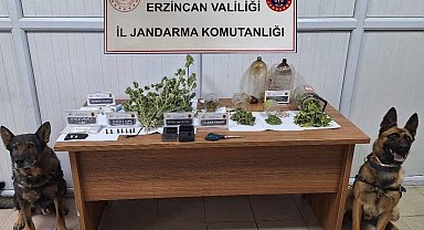 Jandarma Kasım ayı bilançosu: 124 olayın yüzde 93'ü aydınlatıldı