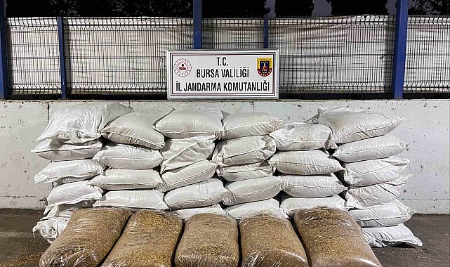 Jandarmadan kaçak sigara operasyonu