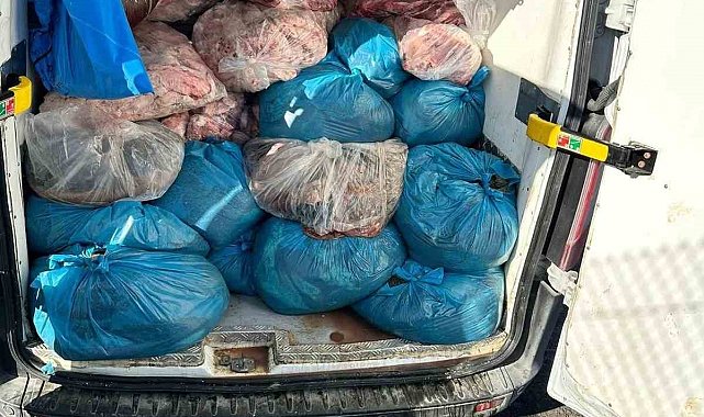 Kaçak sakatat operasyonu: 2 ton ele geçirildi