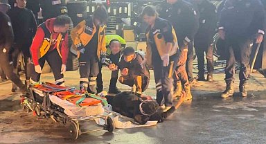 Kaçan sürücü polis aracına çarptı: 2 yaralı