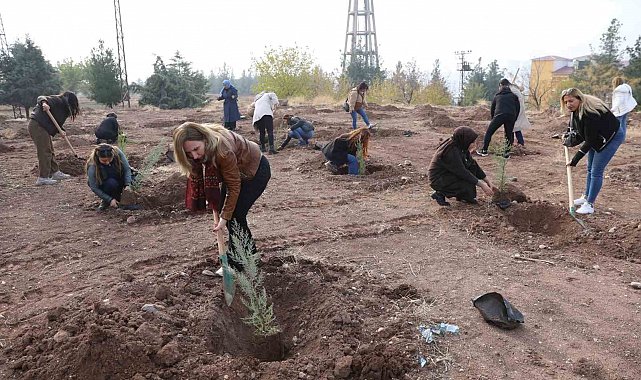 Kadına yönelik şiddete dikkat çekmek amacıyla fidan dikim etkinliği yapıldı