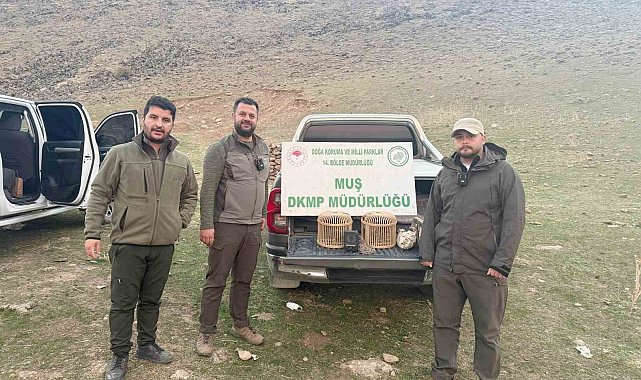 Kafes avcılığı yapan şahıs suçüstü yakalandı: 20 bin TL ceza