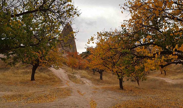 Kapadokya'daki renk cümbüşü dron ile görüntülendi