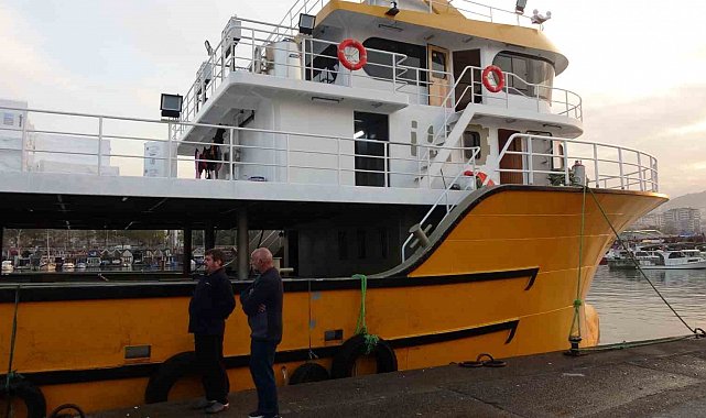 Karadeniz'den bu sezon adeta hamsi fışkırıyor