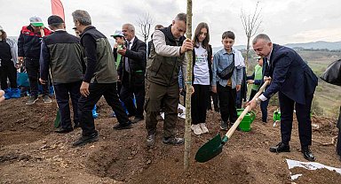 Karamürsel'de yanan bölge 3 bin fidanla yeniden yeşerecek