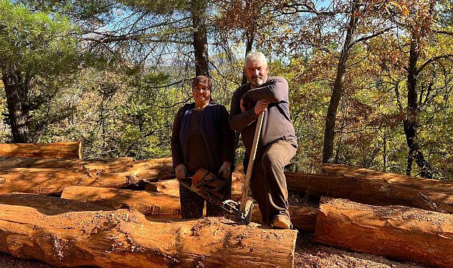 Karı-koca 35 yıldır ormanlarda damgalanan ağaçları kesiyorlar