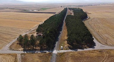 Kars'ta bozkırın ortasındaki vaha havadan görüntülendi