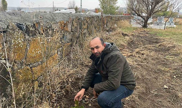 Kars'ta muhtardan örnek davranış: Kayaköprü köyünde fidanlar toprakla buluştu