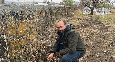Kars'ta muhtardan örnek davranış: Kayaköprü köyünde fidanlar toprakla buluştu
