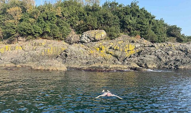Kasımda deniz keyfi: Giresun Valisi Serdengeçti, adada yüzdü