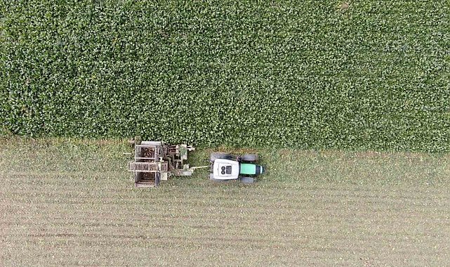 Kastamonu'da çiftçilerin zorlu pancar mesaisi devam ediyor