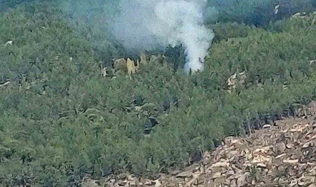 Kavaklıdere'de orman yangını