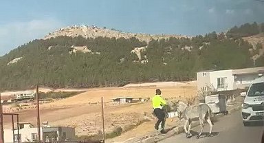 Kazaya davetiye çıkaran eşeğe polis müdahale etti