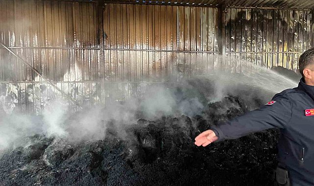 Keşan'da çıkan yangında bin saman balyası yandı