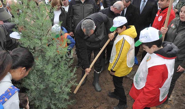 Keşan'da yangından zarar gören ormanlık alana 2 bin çam fidanı dikildi