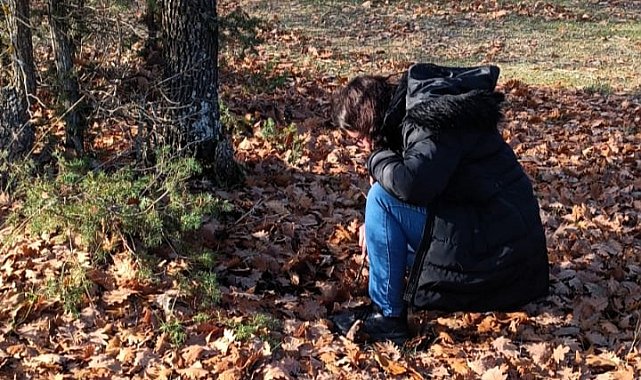 Kırklareli'nde süne ile mücadele hamlesi: Sonbahar Kışlak Sürveyleri çalışmalarına başladı