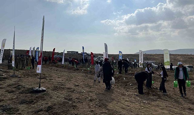 Konya'da 33 bin 811 fidan toprakla buluştu