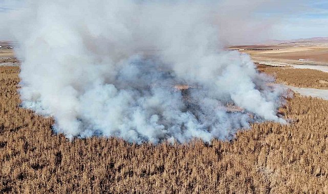 Konya'da sazlık alanda yangını
