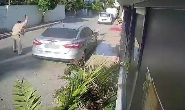 Köpeği silahla vuran emekli polis için 4 yıla kadar hapis talebi