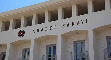 Köpekleri tüfekle vuran şahıs tutuklandı