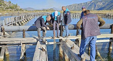 Köyceğiz Gölü, Dalyan ve İztuzu'nda denetim