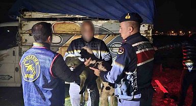 Küçükbaş hayvan çalan 4 kişiyi JASAT yakaladı