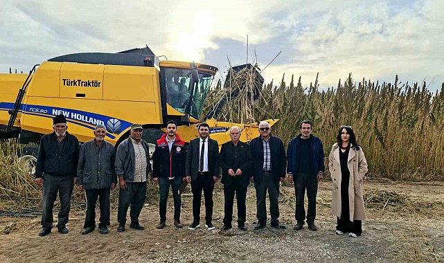 Kulu'da endüstriyel kenevirin hasadı başladı